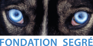 fondation-segre-logo