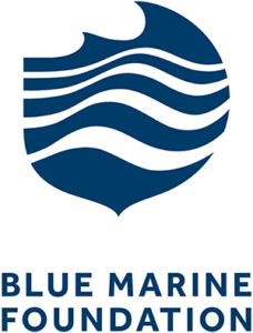 bluemarine-foundation-logo